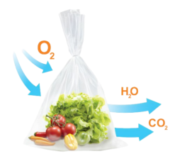 Túi GreenMAP Bảo Quản Rau Củ Quả