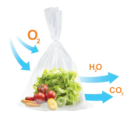Túi GreenMAP Bảo Quản Rau Củ Quả